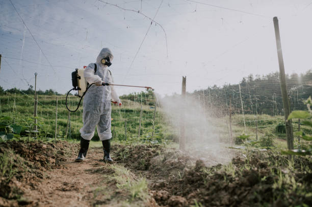 Best Ant Control Services  in Concordia, NJ