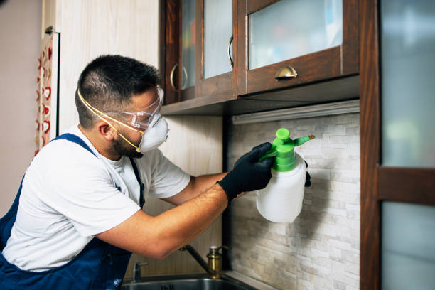 Best Emergency Pest Control  in Concordia, NJ