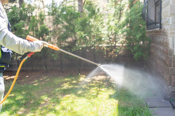Trusted Concordia, NJ Pest Control Experts