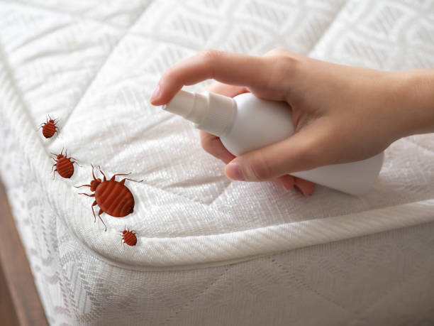 Best Affordable Pest Control Services  in Concordia, NJ